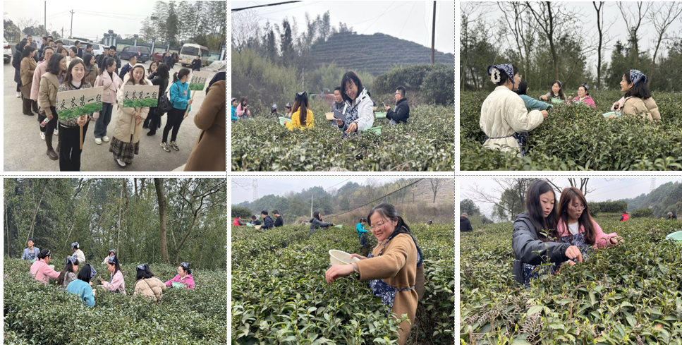 SzAJ_1710143832220045500.png 11.png