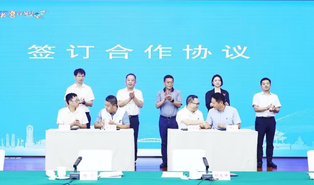 WpNr_1720493163518085676.jpg 2.jpg