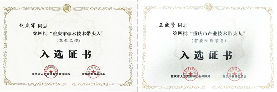 MPZe_1740645274981090977.png 11.png