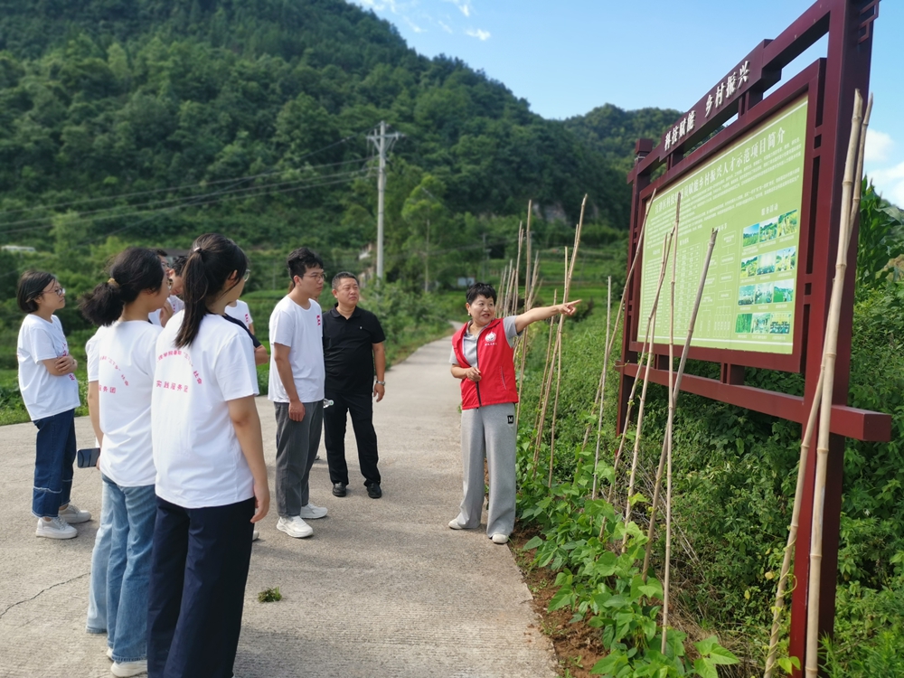 IpCx_1751612712635070859.jpg 1.jpg