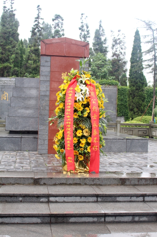 1494213359194064116.jpg IMG_1573.jpg